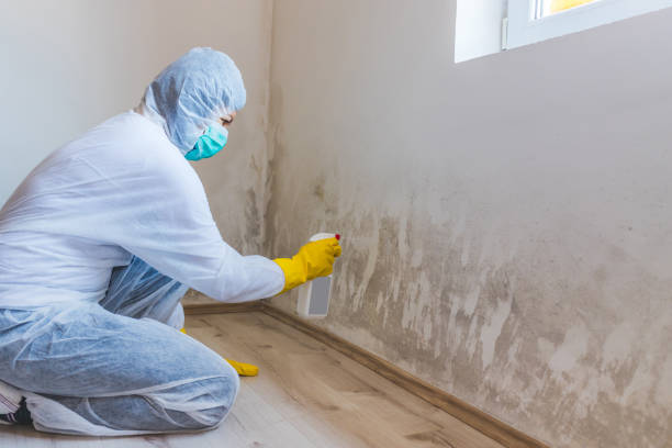 Bathroom Mold Removal assessment in Glendora bathroom