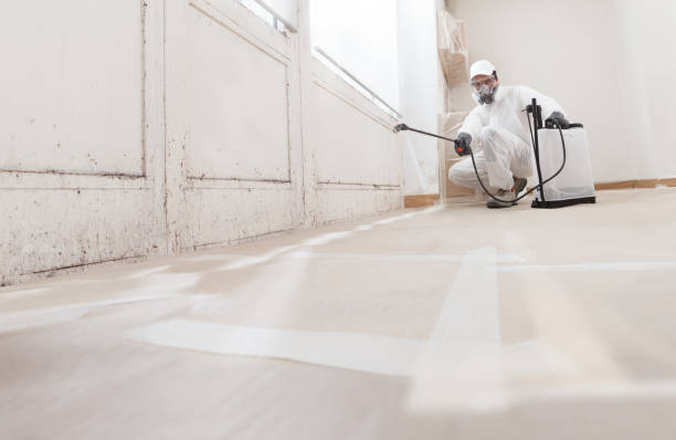 Black mold remediation team in Glendora